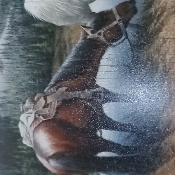 'Welcome to Cowboy Country' Tin Sign - Picture 3 of 4